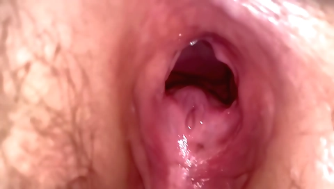 Hairy pussy from behind and licking in amateur video