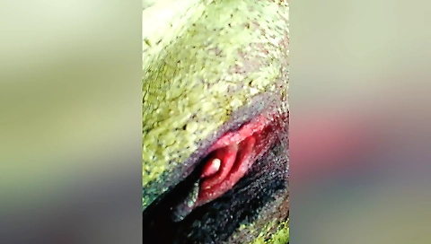 Indian milf massage creampie pussy in amateur porn clip